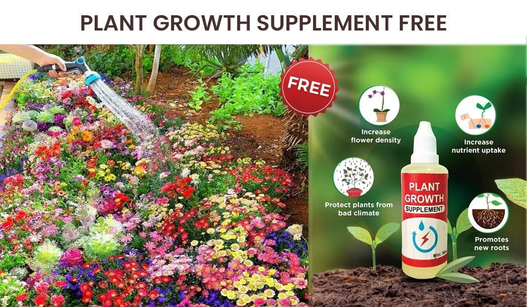 Buy Varieties of Flower Seeds (Pack of 100) And Get Plant Growth Supplement Free - Must Have Goods
