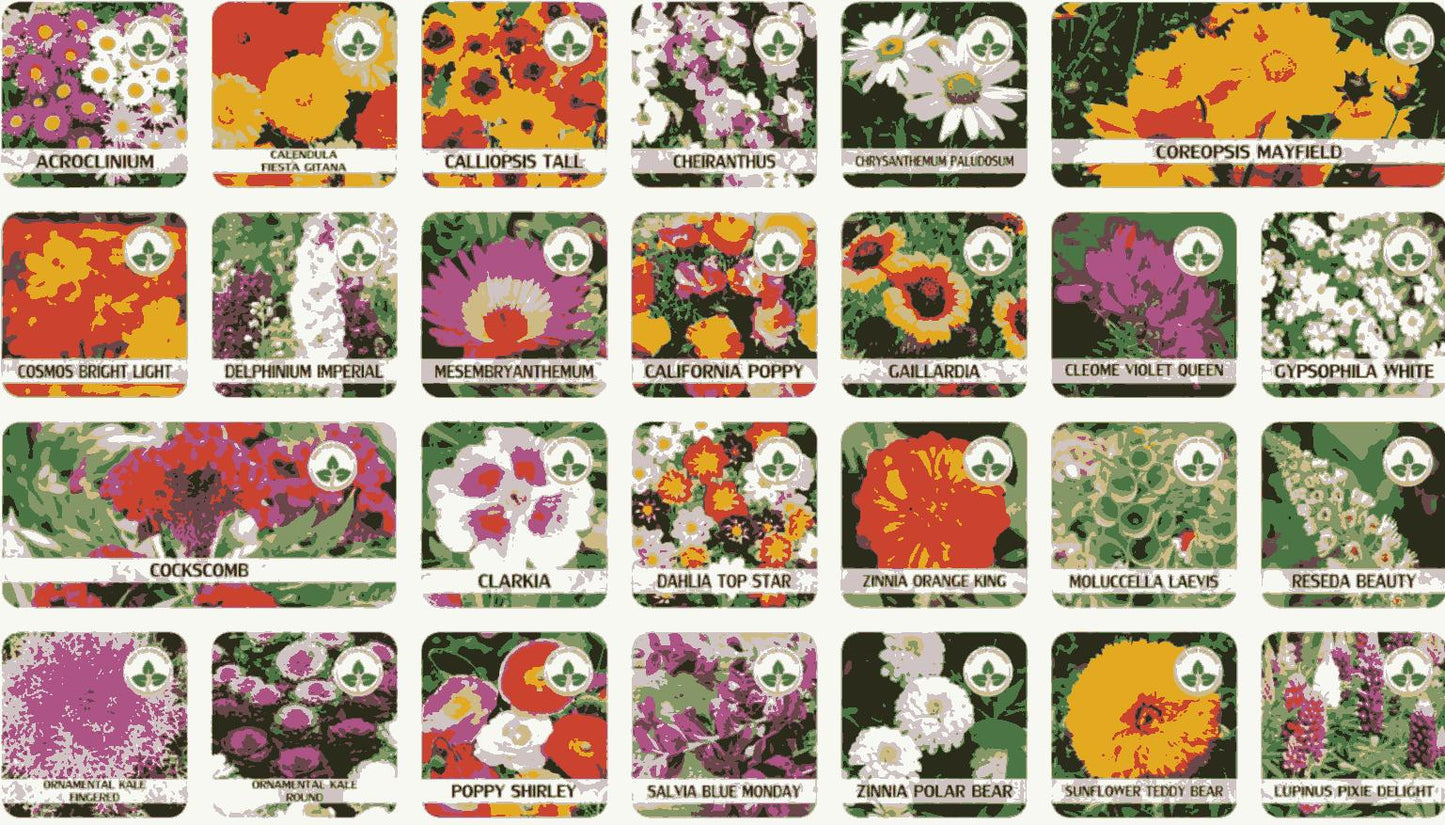Buy Varieties of Flower Seeds (Pack of 100) And Get Plant Growth Supplement Free - Must Have Goods