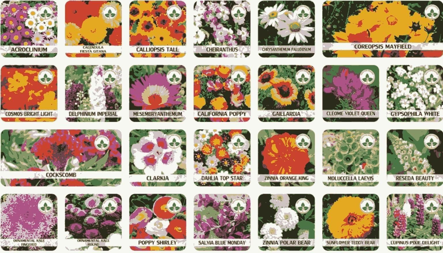 Buy Varieties of Flower Seeds (Pack of 100) And Get Plant Growth Supplement Free - Must Have Goods